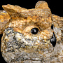Скульптура из натурального камня "Сова с совенком". Ангидрит, фотография 2. Интернет-магазин ЛАВКА ПОДАРКОВ