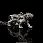 Ионизатор для воды "Тигр" из серебра 925*, фотография 2. Интернет-магазин ЛАВКА ПОДАРКОВ