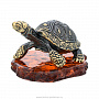 Статуэтка с янтарем "Средиземноморская черепаха", фотография 3. Интернет-магазин ЛАВКА ПОДАРКОВ