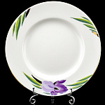 0040389/80.58426.00.1 ЛФЗ ТАРЕЛКА мелкая 180мм Гладкая"Ирисы" ТН1