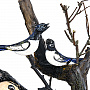 Резьба по дереву. Скульптура "Охотник с сороками", фотография 4. Интернет-магазин ЛАВКА ПОДАРКОВ