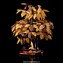 Денежное дерево из янтаря (22 ветки), фотография 1. Интернет-магазин ЛАВКА ПОДАРКОВ