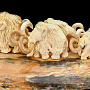Скульптура из бивня мамонта "Мамонты. Трудный переход", фотография 3. Интернет-магазин ЛАВКА ПОДАРКОВ