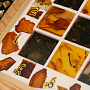Шахматы деревянные с фигурами из янтаря, фотография 14. Интернет-магазин ЛАВКА ПОДАРКОВ