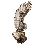 Чучело птицы настенное "Канюк-зимняк"