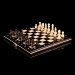 0066193/140S ШАХМАТЫ Магнитные школьные  27*27см  (дерево)