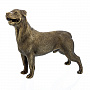 Бронзовая скульптура "Собака Ротвейлер", фотография 1. Интернет-магазин ЛАВКА ПОДАРКОВ