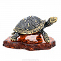 Статуэтка с янтарем "Средиземноморская черепаха", фотография 1. Интернет-магазин ЛАВКА ПОДАРКОВ