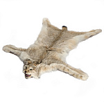 Таксидермия. Ковер из шкуры рыси