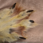 Шкура волка (ковер на подкладке), фотография 4. Интернет-магазин ЛАВКА ПОДАРКОВ
