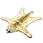  Таксидермия КОВЕР из ШКУРЫ ЯКУТСКОГО ВОЛКА 155см