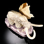 Скульптура из кости "Мамонт", фотография 3. Интернет-магазин ЛАВКА ПОДАРКОВ