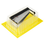 0036904 Игрушка  МУЗЫКАЛЬНЫЙ ИНСТРУМЕНТ КСИЛОФОН (блистер)